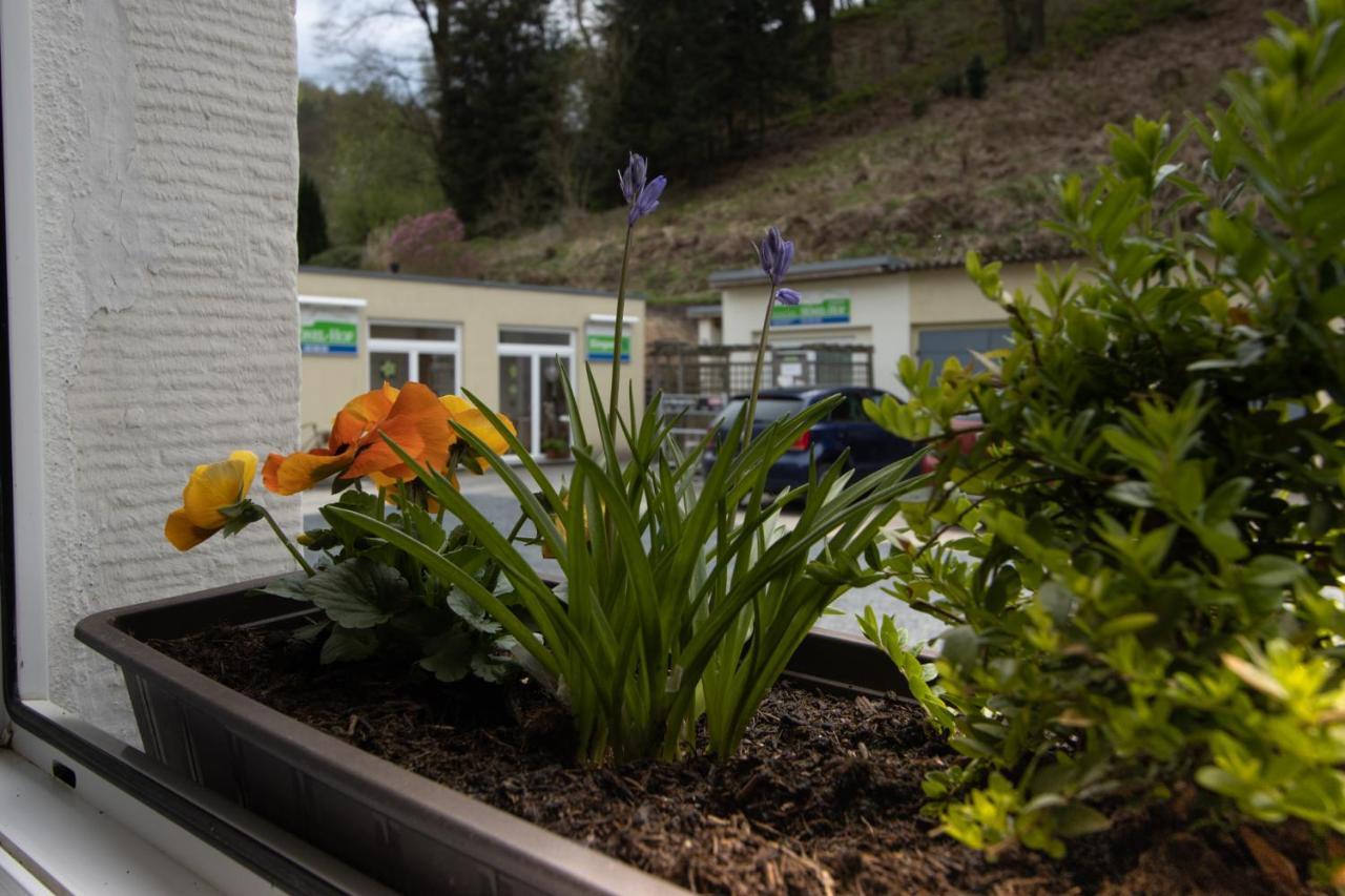 Pension Hoenel-Hof Bad Schandau Exterior foto
