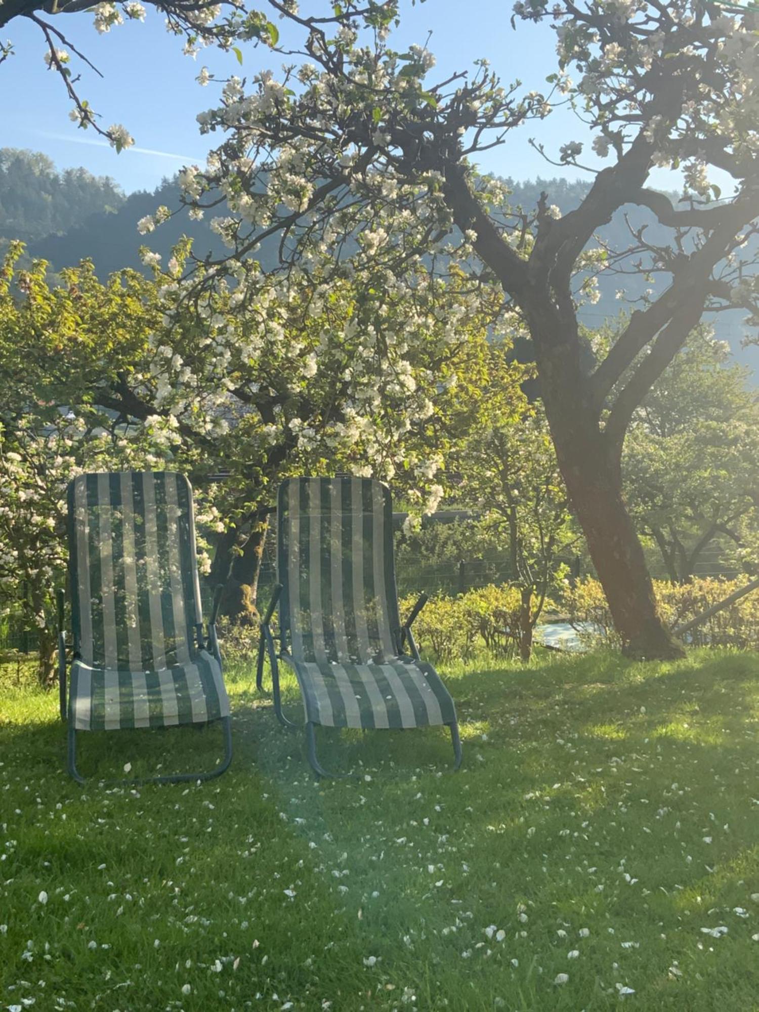 Pension Hoenel-Hof Bad Schandau Exterior foto